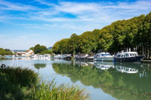 Villas Les Tanins d -Ay : photos des chambres