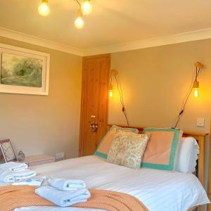 Cysgod Bach & Caban y Saer Cottages