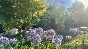 Villas Kercolette, maison avec piscine non chauffee proche des plages : photos des chambres