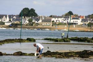 Villas Kercolette, maison avec piscine non chauffee proche des plages : photos des chambres