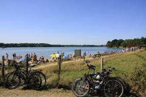 Villas Kercolette, maison avec piscine non chauffee proche des plages : Villa avec Piscine Privée