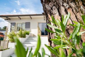 B&B / Chambres d'hotes Capbreton Surf House : photos des chambres