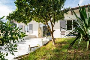 B&B / Chambres d'hotes Capbreton Surf House : photos des chambres