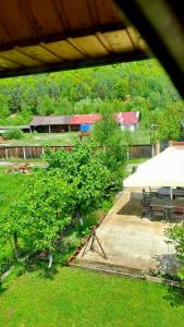 Фазенда "Змерега"