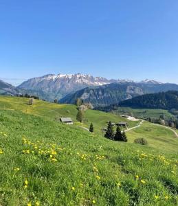 LOurson aux pieds des pistes & piscine chauffée