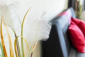 Probsteier Platz Meeresbrise