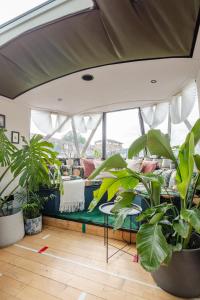 The Floating Terrarium