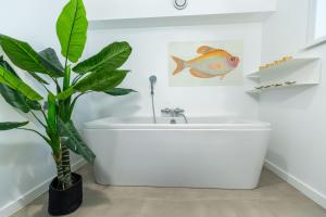 Zeesamen 5 min from beach