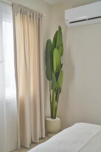 Wake Cup Stay Alaçatı