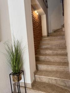 Skver Studio Apartments