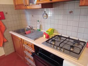 Casa gatta rossa orange cat house