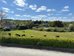 Christinas Cottage Downpatrick
