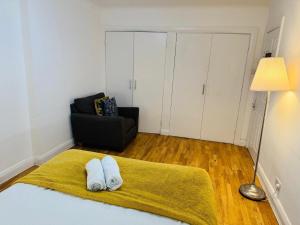 Comfortable Flat Sleeps 6 - Lift Access- Steps from Hyde Park & Marble Arch Station