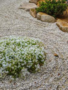 楓の宿 高山市中心 新改装三卧室独栋住宅 周边多个大型超市 至星巴克步行六分钟 两个免费停车位