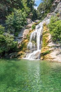 Villas Villa Viktoriia : photos des chambres