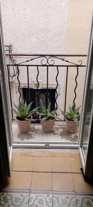 Appartements Duplex La Terrasse Jasmin : photos des chambres