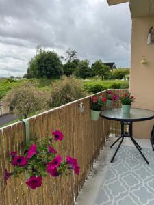 Appartement chaleureux et spacieux T3