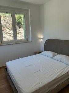 Villa Colle dei Pini