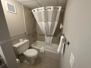 1 Queen Bed, Mobility Accessible Room, Bathtub w/ Grab Bars, Non-Smoking room in Farmington Inn