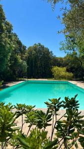 Villas Mas exceptionnel a Lagnes, Provence : photos des chambres