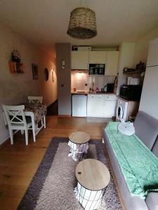 Appartement balcon vue pré et montagne