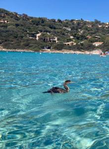 Villa Belvedere img37