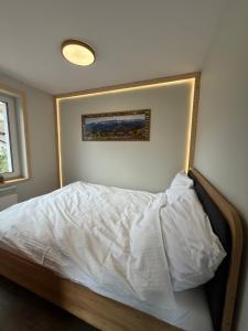 Piękne apartamenty z widokiem na góry , Sauna, Darmowy parking , 5km od Zakopanego