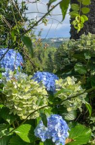Cabana Alecrim da Serra