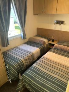 Pg50 PALM GROVE GOLDEN PALM CHAPEL ST LEONARD