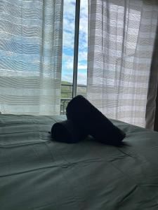 LAphyllante Appartement T2