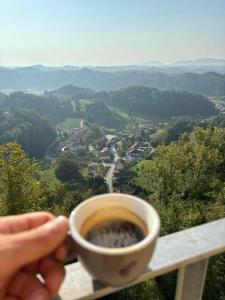 Apartments Domačija Mlaker