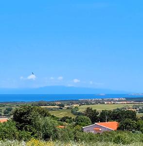 Affittimoderni Valledoria Ulivo img15