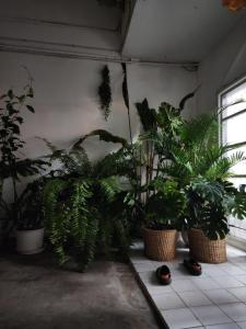 Creative Bangkok twin bed