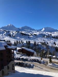 Appartement à Belle Plagne au pied des pistes