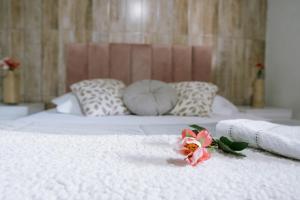 Casa com piscina a 4 min do centro de carro