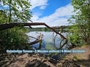 Hüttendorf für Euch alleine - geführter Yachtausflug nach Prieros inclusive! Nur 3 Minuten zum Badesee Fahrräder kostenlos vorhanden