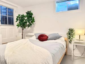 4 Large Rooms City Centre