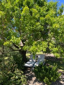 B&B / Chambres d'hotes La Bastide de Grosille : photos des chambres