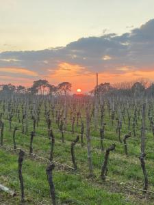 Maisons de vacances A l'Oree des Vignes : Maison 2 Chambres