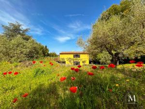 Maisons de vacances Belle demeure dans les hauteurs d-Ollioules : photos des chambres