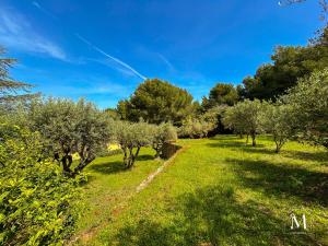Maisons de vacances Belle demeure dans les hauteurs d-Ollioules : photos des chambres