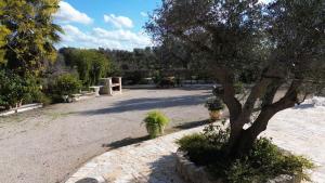 Borgo della Mimosa