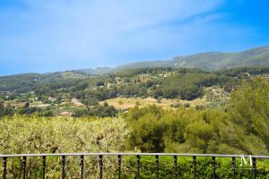 Maisons de vacances Belle demeure dans les hauteurs d-Ollioules : photos des chambres