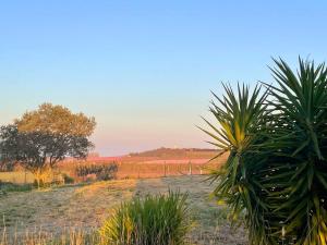 Villas Villa des Antonins : photos des chambres