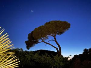 Villas Villa des Antonins : photos des chambres
