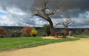 B&B / Chambres d'hotes Le Domaine du Cerneau : photos des chambres