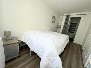Appartements Studio Hyper centre a l-ombre du chateau : photos des chambres