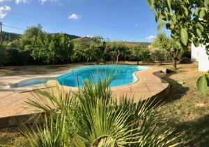 Maisons de vacances La villa blanche - 2 personnes : photos des chambres