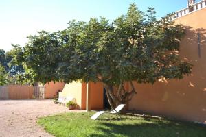 Maisons de vacances Banyuls : photos des chambres