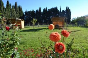 Maisons de vacances Banyuls : photos des chambres